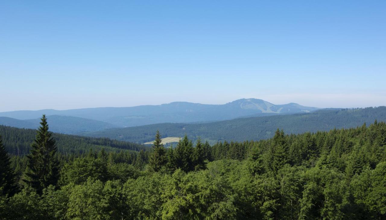 Orea Hotel Spicak Sumava Железна Руда Номер фото